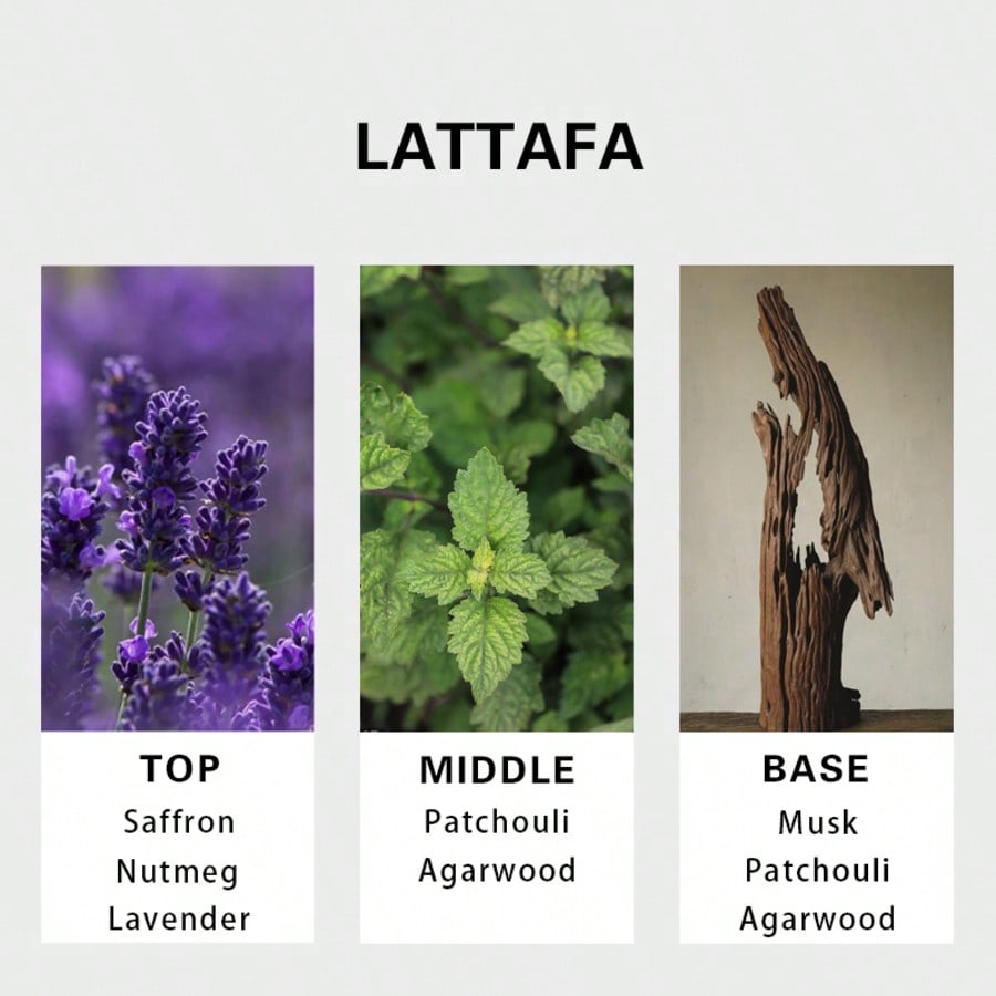 Lattafa Badee Al Oud For Glory - Perfume Fragrance Free reseña y precio