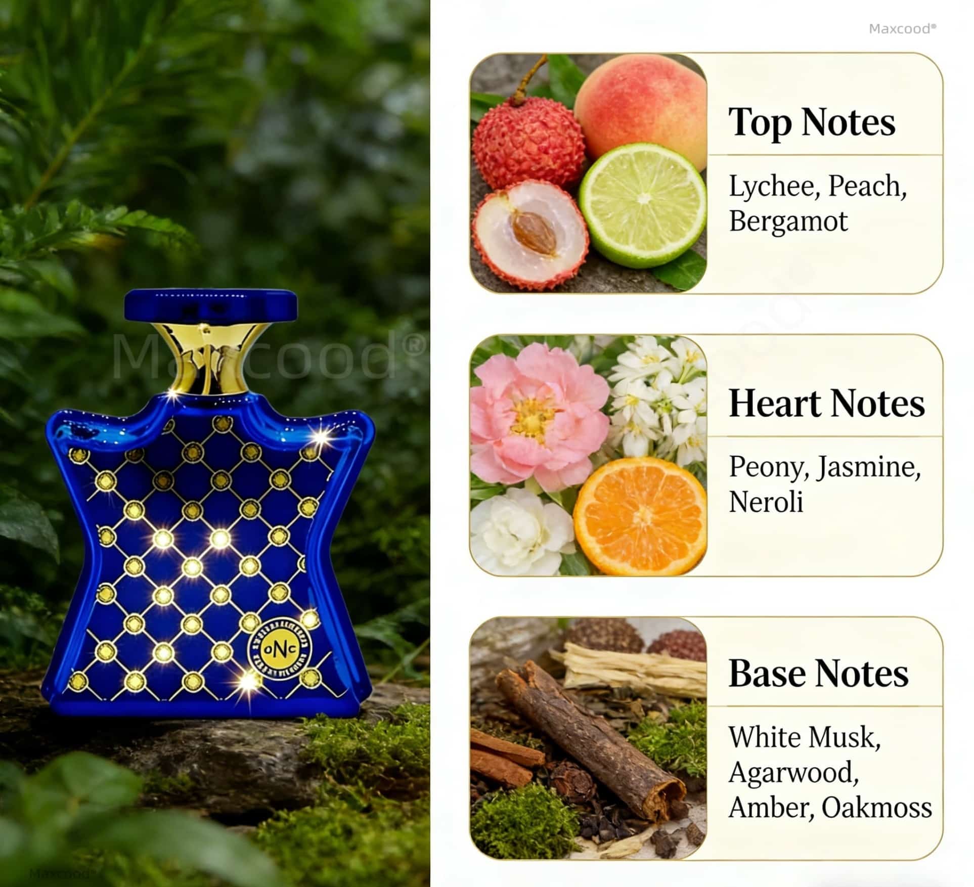 Perfume Cítrico y Floral de La - Eau De Parfum Women reseña y precio