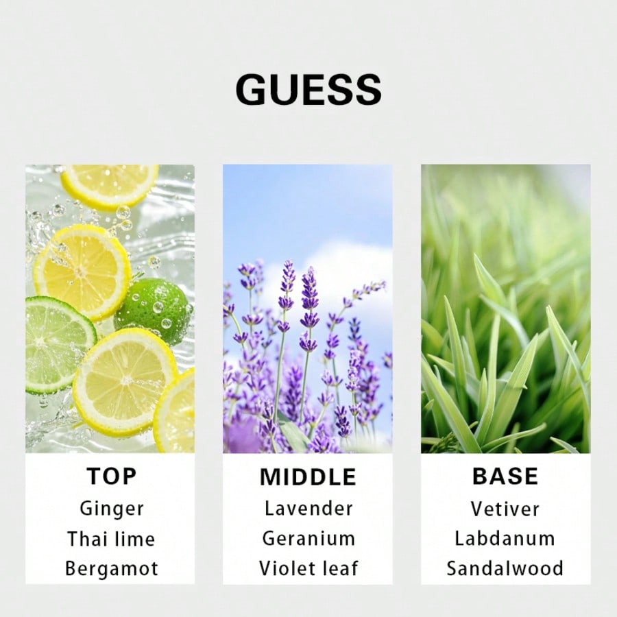 Guess Forever Eau De Toilette  - Perfume Fragrance Free reseña y precio